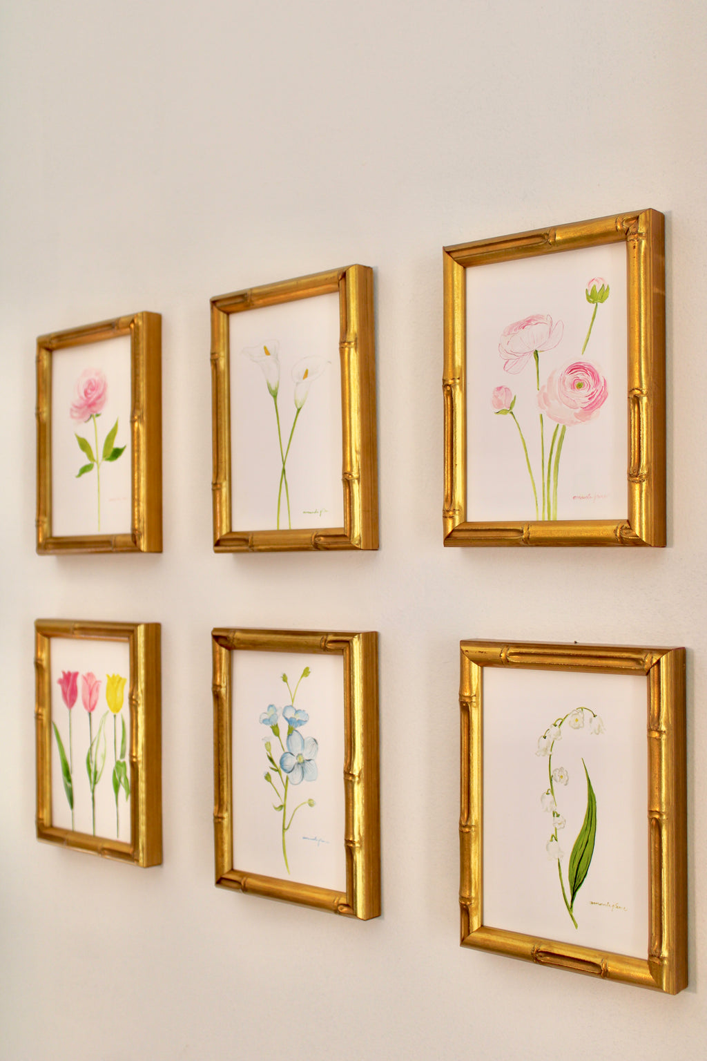 Peony / Framed Original Painting