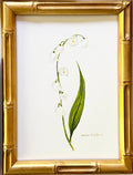 Lily of the Valley / Framed Original Painting