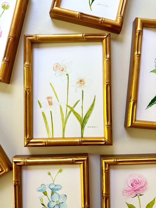 Daffodil / Framed Original Painting