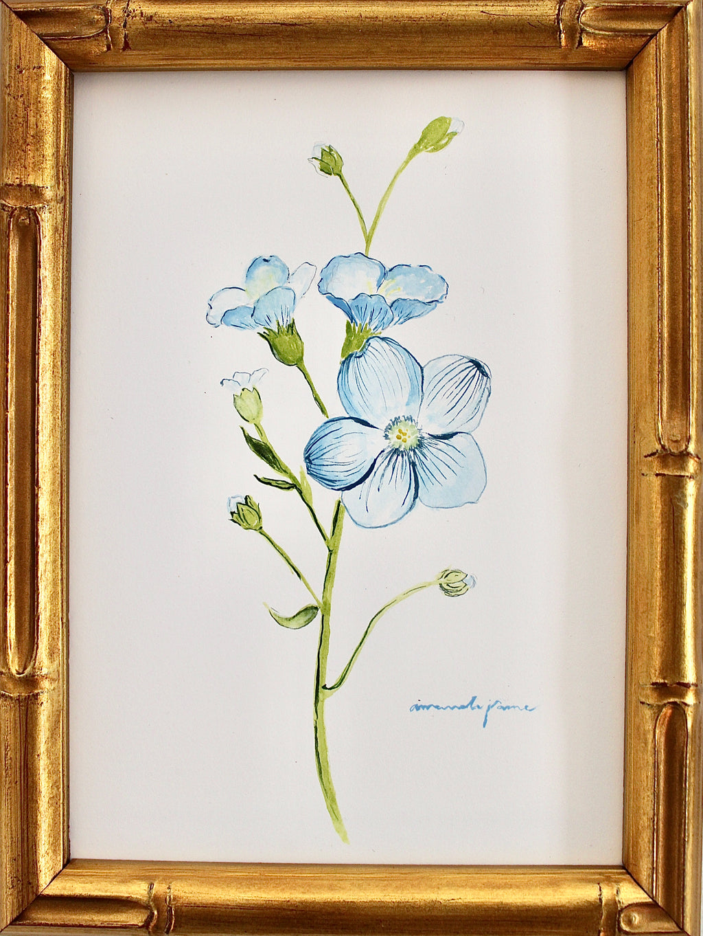 Forget-Me-Not / Framed Original Painting