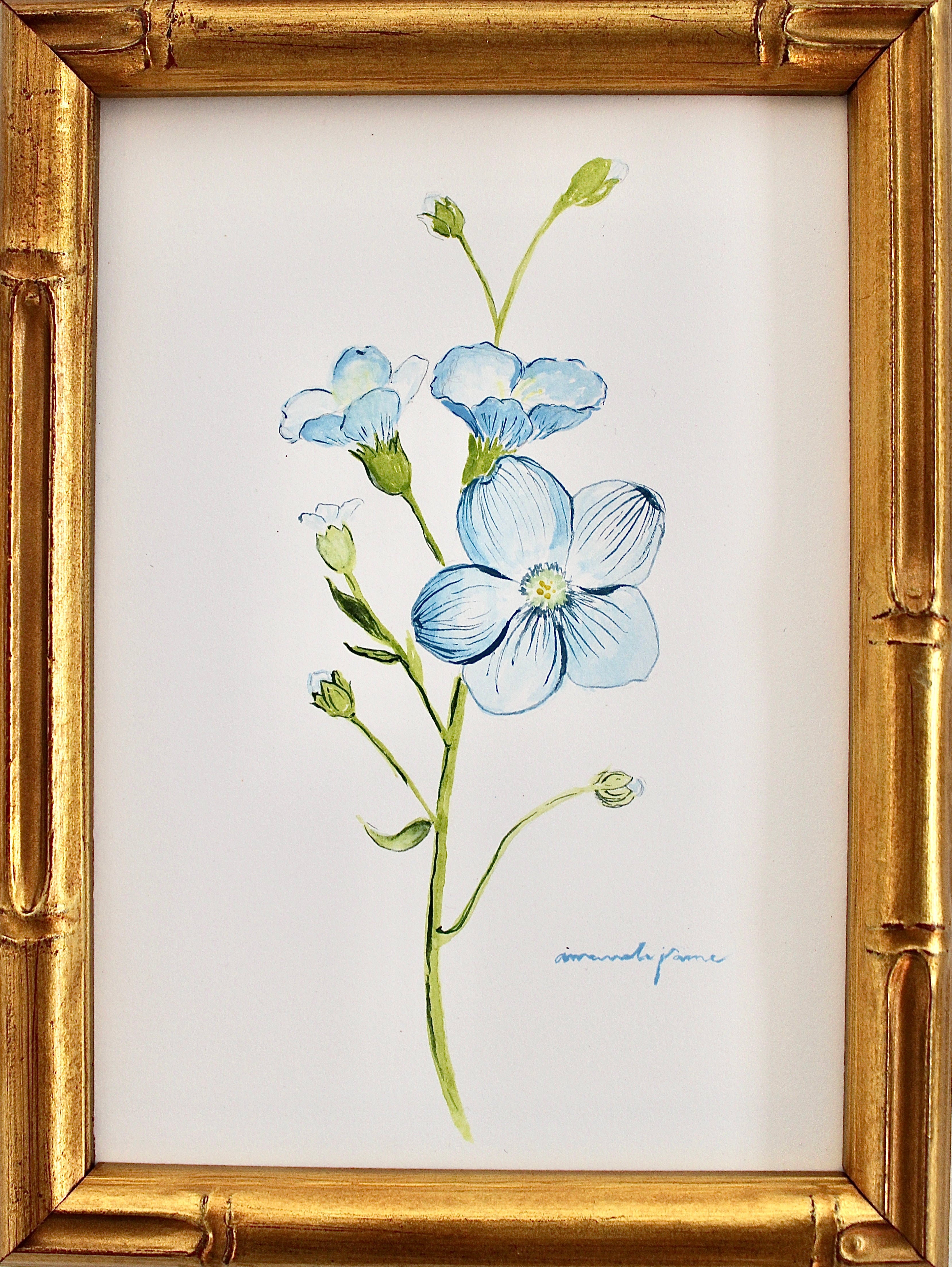 Forget-Me-Not / Framed Original Painting