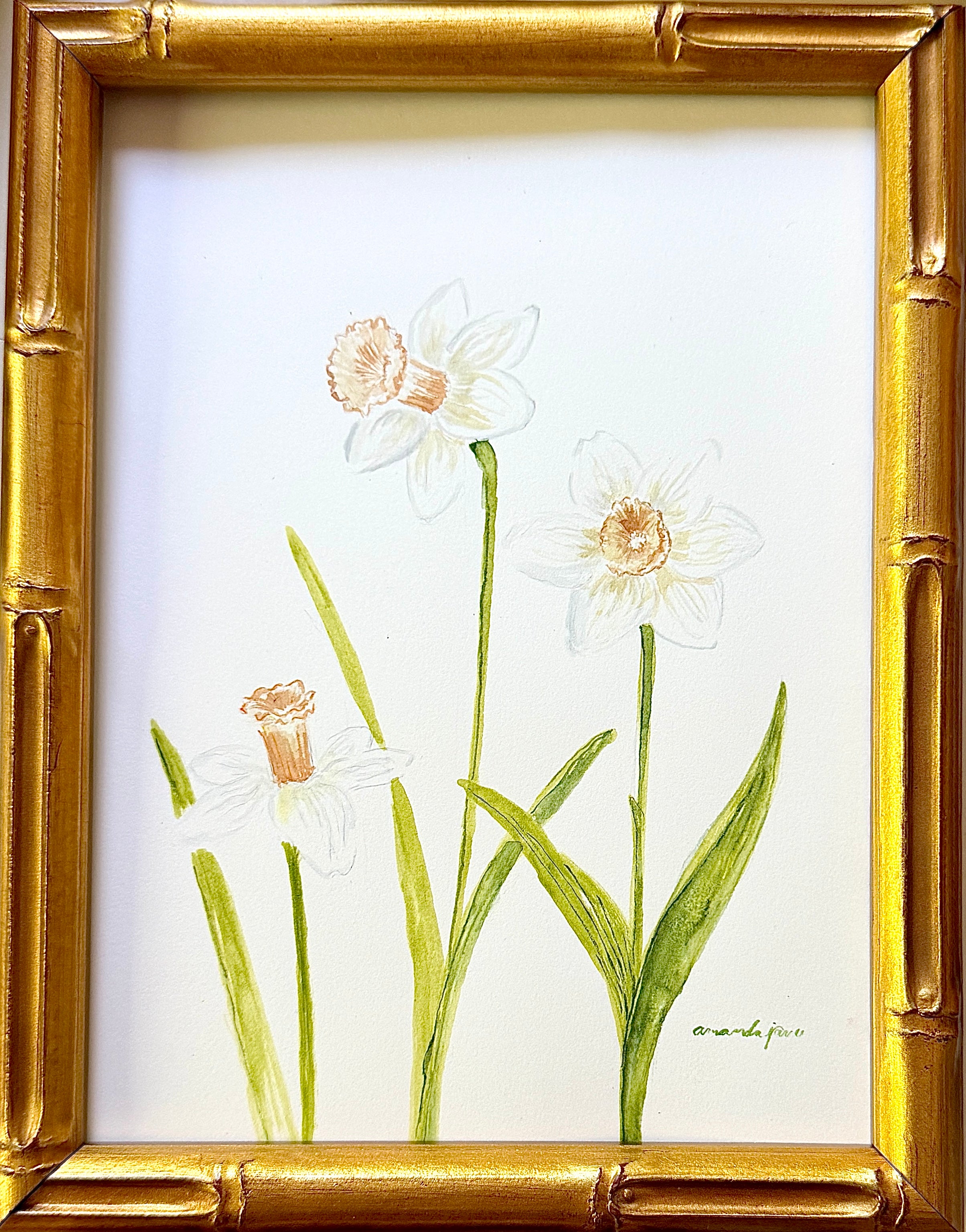 Daffodil / Framed Original Painting