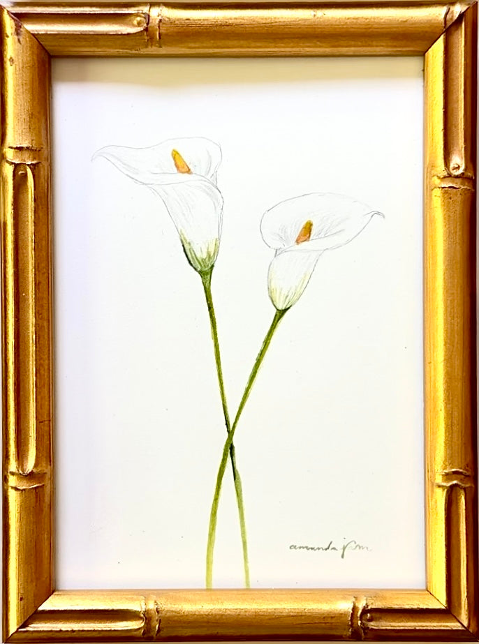 Calla Lilly / Framed Original Painting