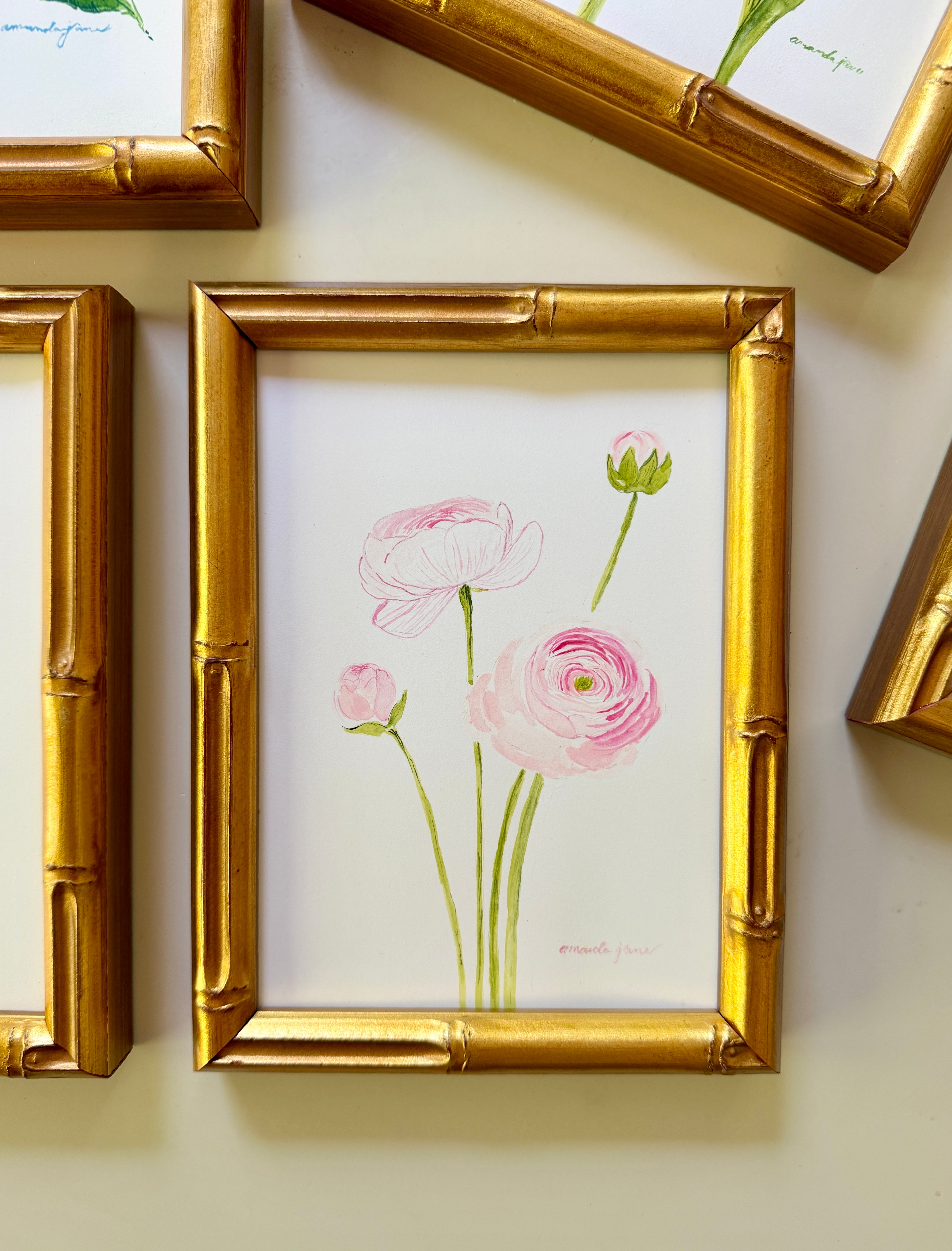 Peony / Framed Original Painting