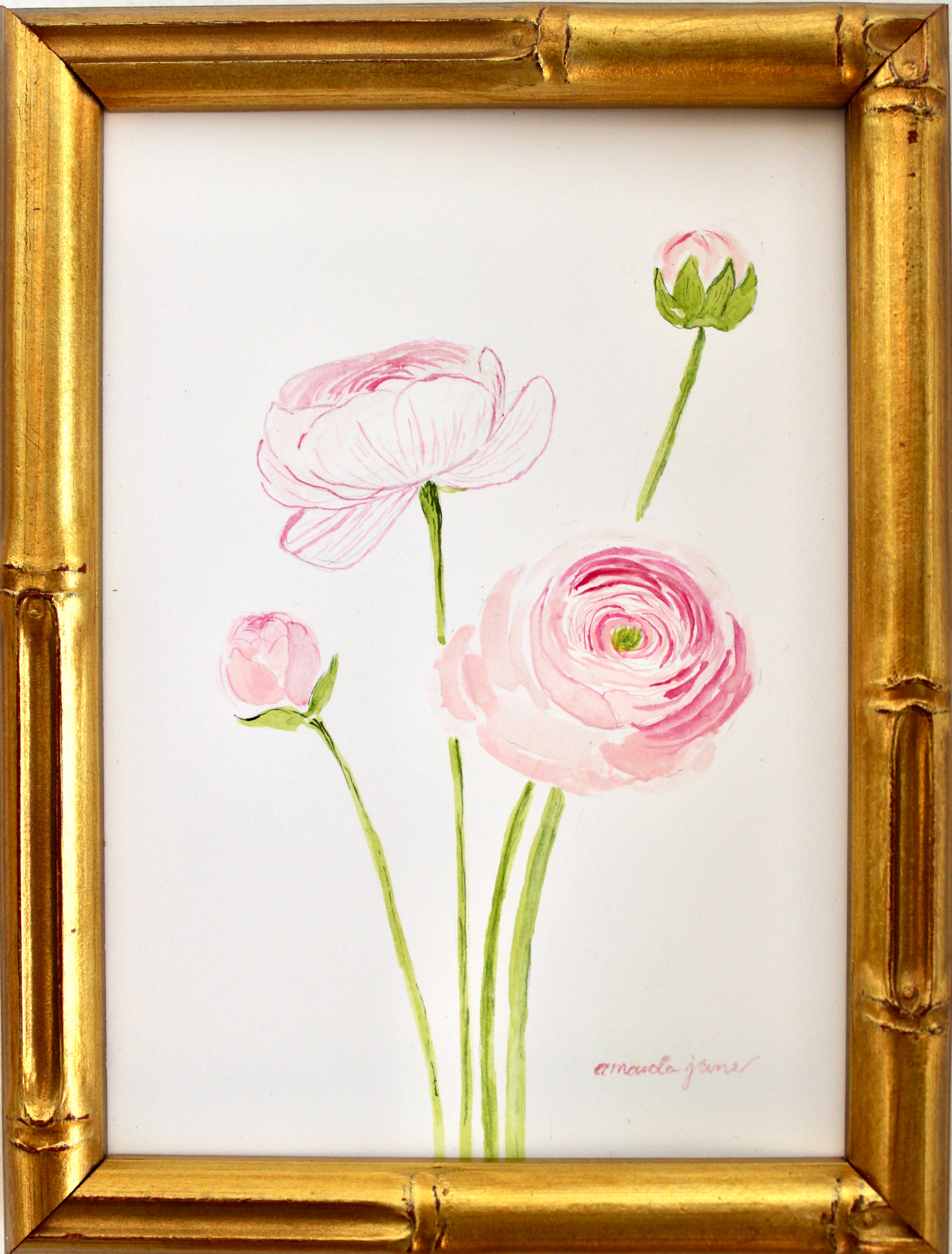 Peony / Framed Original Painting